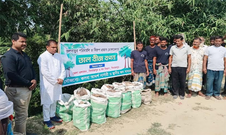 দিনাজপুরে পরিবেশের ভারসাম্য রক্ষায় এক হাজার তাল বীজ রোপণ