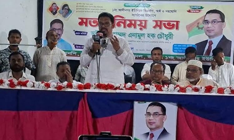 ৩১ দফার ভিত্তিতে আগামীর সমৃদ্ধ বাংলাদেশ গড়ে উঠবে : ড. এনামুল হক চৌধুরী