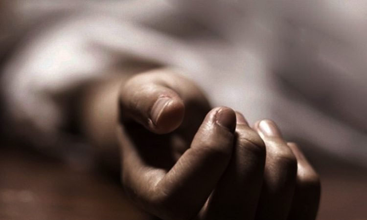 নওগাঁয় গাছ থেকে পড়ে প্রাণ গেল এক ব্যক্তির