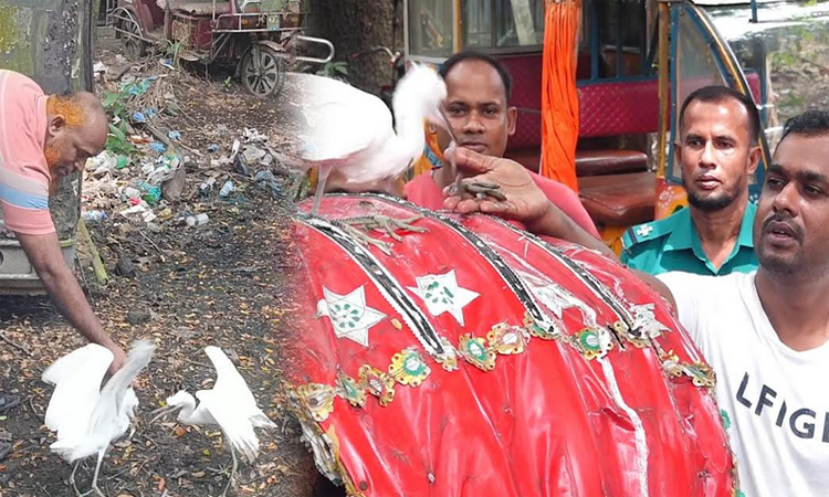 বরিশাল পুলিশ ফাঁড়িতে নিরাপদে বাস করছে তিনটি সাদা বক
