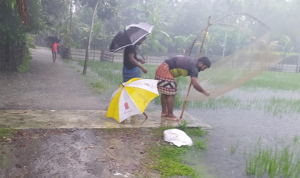 পঞ্চগড়ে টানা ভারী বৃষ্টি, শীতের আভাস