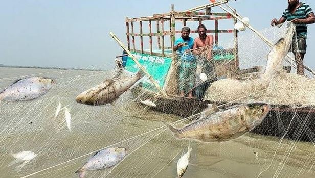 আজ থেকে ৮ মাস সমুদ্রে জাটকা ধরা নিষিদ্ধ, জেলেদের পাশে থাকবে সরকার