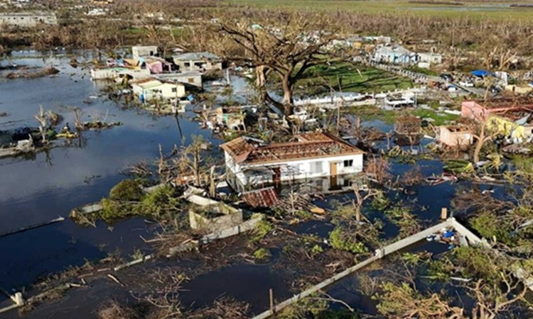 ঘূর্ণীঝড় মেলিসার তাণ্ডবে ক্যারিবীয় অঞ্চলে ৫০ জনের মৃত্যু