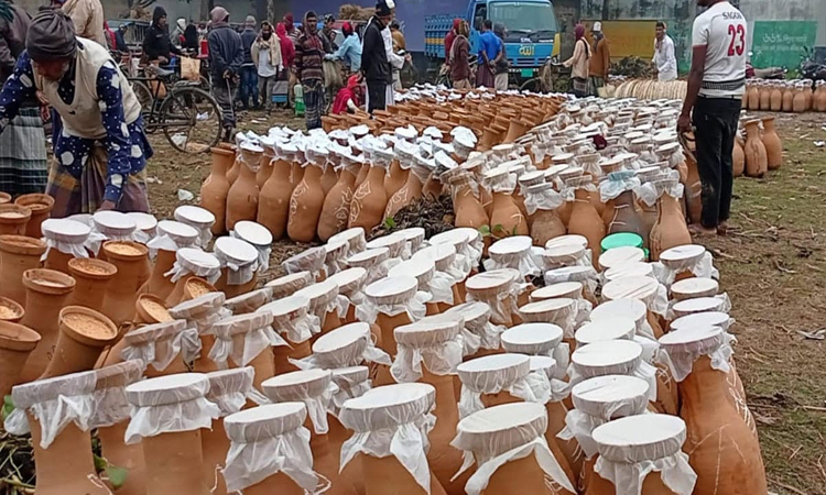 দেশে খেজুর গুড়ের সংকট নিরসনে গবেষকদের তিন সুপারিশ