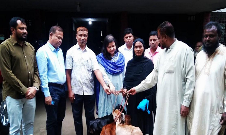 দিনাজপুরে ভিক্ষুকদের মধ্যে বিনামূল্যে ছাগল বিতরণ