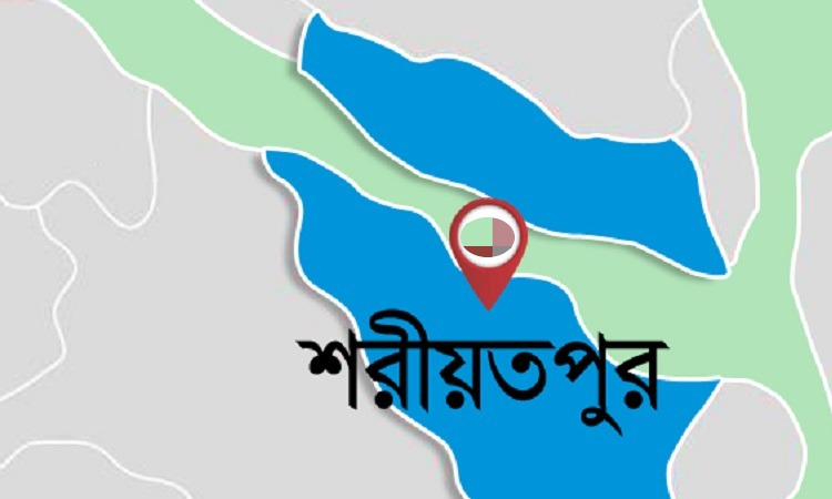 শরীয়তপুরে শহীদ বুদ্ধিজীবী দিবস ও বিজয় দিবস উদযাপনে প্রস্তুতি সভা