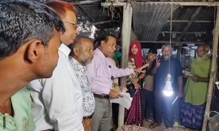 বগুড়ায় তারেক রহমানের পক্ষে ধানের শীষে ভোট চেয়ে লিফলেট বিতরণ