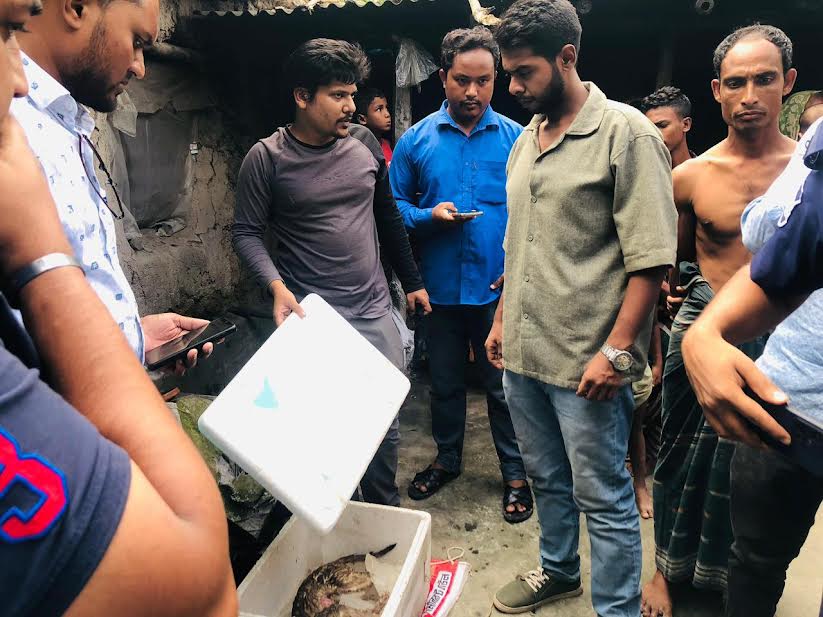 বগুড়ায় বিড়াল হত্যা, থানায় জিডি