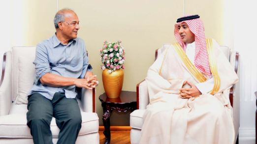 স্বরাষ্ট্র উপদেষ্টার সঙ্গে সৌদি রাষ্ট্রদূতের সৌজন্য সাক্ষাৎ