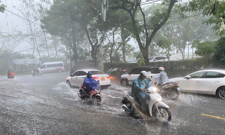 ঘূর্ণিঝড় কালমেগির আঘাতে ভিয়েতনামে হতাহত ১২