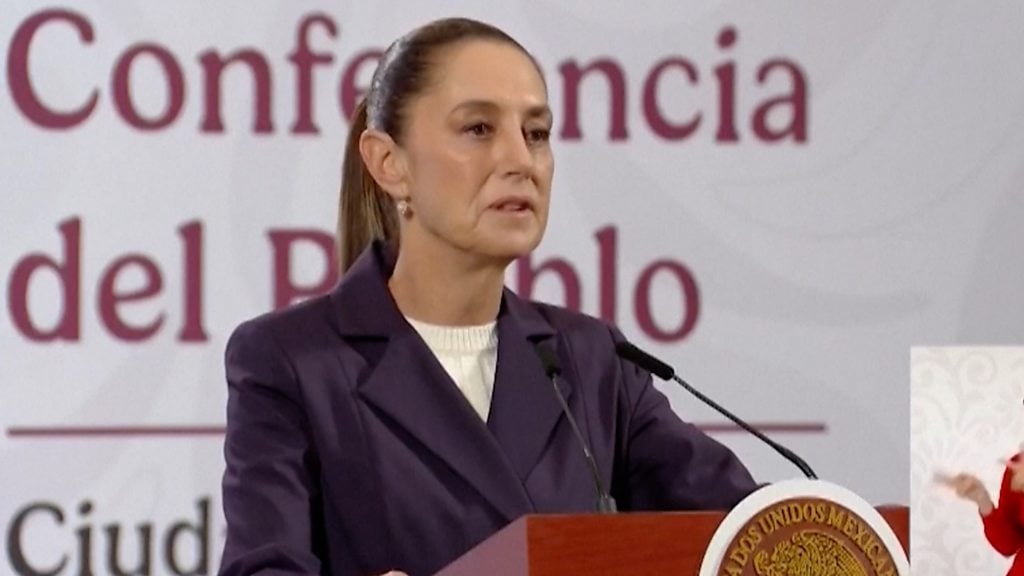 মেক্সিকোতে নারী নির্যাতন রোধে প্রেসিডেন্ট শেইনবাউমের পদক্ষেপ