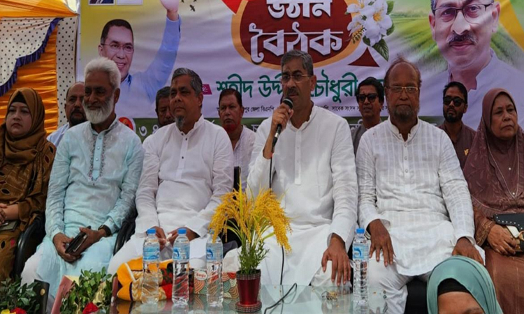 দেশের জন্য বিএনপি ক্ষতিকর নয় : এ্যানি