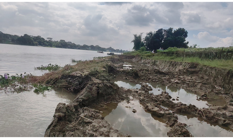 মাদারীপুরে নদীর পাড় থেকে অবৈধভাবে মাটি চুরি, ভাঙন আতঙ্কে গ্রামবাসী