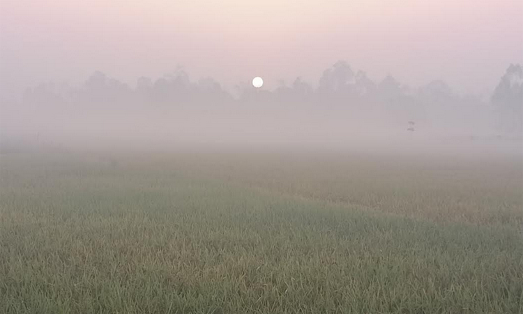 পঞ্চগড়ে তাপমাত্রা নেমে ১৪ ডিগ্রিতে