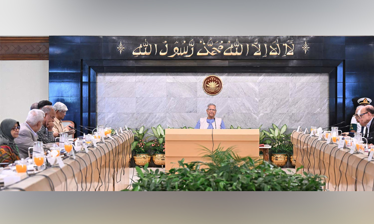 উপদেষ্টা পরিষদে বিমান চলাচল ও ট্রাভেল এজেন্সি সংক্রান্ত অধ্যাদেশের খসড়া অনুমোদন