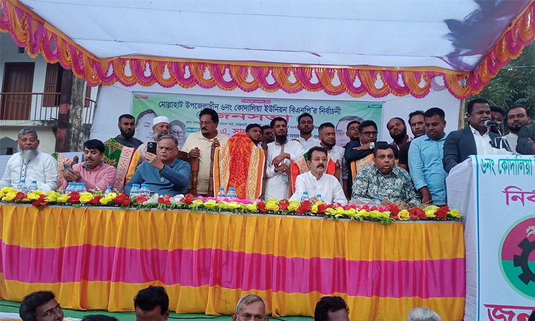 মোল্লাহাটে বিএনপির ৩১ দফার লিফলেট বিতরণ