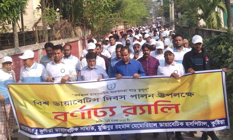 ডায়াবেটিস দিবসে কুষ্টিয়ায় র‌্যালি ও সভা