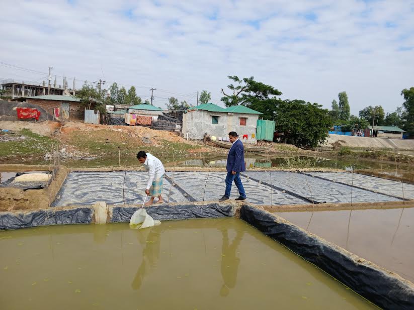 মৎস্য খাতে নতুন সম্ভাবনা: আর্টিমিয়া-লবণের সমন্বিত চাষে চবির সাফল্য
