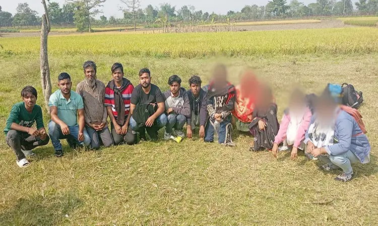 মেহেরপুর সীমান্তে পতাকা বৈঠকের মাধ্যমে নারীসহ ১২ বাংলাদেশিকে হস্তান্তর