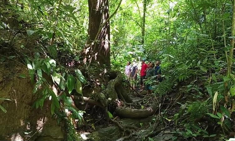 খাগড়াছড়ির পাড়াবন জীববৈচিত্র্য রক্ষায় ‘রোল মডেল’ হতে পারে