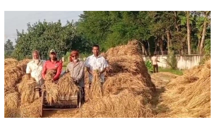 খুলনাঞ্চলে আমন মৌসুমে সাড়ে ৮ লাখ মেট্রিক টন চাল উৎপাদনের সম্ভাবনা