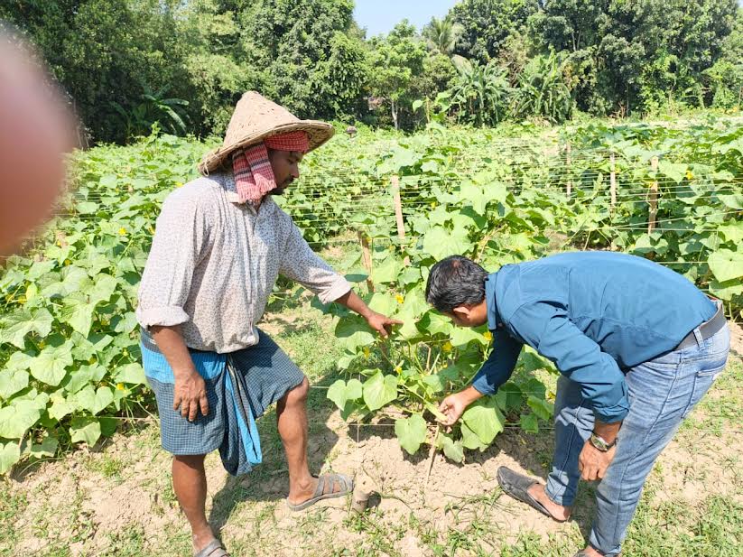 আগাম শীতকালীন সবজিতে ভরে উঠেছে রাজবাড়ীর হাট-বাজার