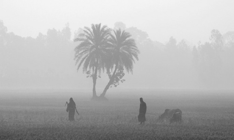 দেশের কিছু স্থানে হালকা থেকে মাঝারি কুয়াশা পড়তে পারে