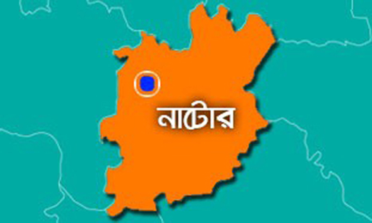 নাটোরে ৫ কোটি ১১ লাখ টাকার কৃষি প্রণোদনা প্রদান 