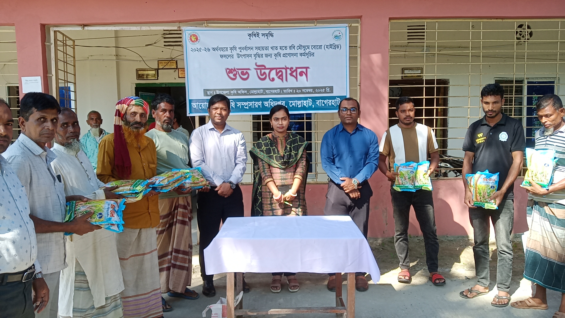 মোল্লাহাটে কৃষি প্রণোদনা কর্মসূচির উদ্বোধন