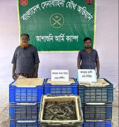 সাতক্ষীরায় অপদ্রব্য পুশকৃত বাগদা চিংড়ি জব্দ 