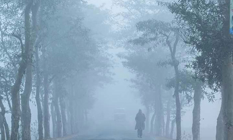 দেশের কোথাও কোথাও হালকা কুয়াশা পড়তে পারে