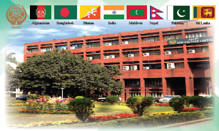 হাইব্রিড সবজি বীজ উৎপাদনে আঞ্চলিক সহযোগিতা বাড়াতে সার্কের আহ্বান