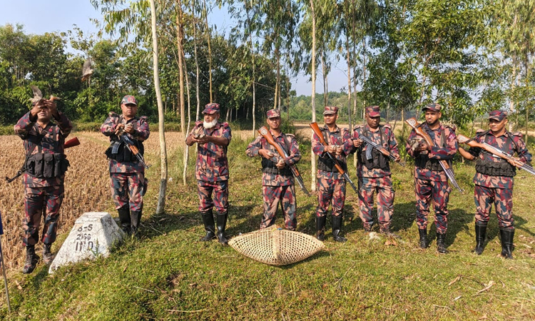 ফেনীতে বন্দিদশা থেকে মুক্ত শতাধিক পাখি