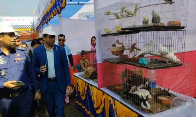 লালমনিরহাটে জাতীয় প্রাণিসম্পদ সপ্তাহের উদ্বোধন