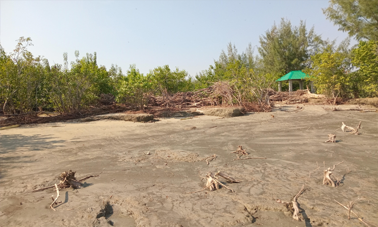 বরগুনার লালদিয়া চর হতে পারে আকর্ষণীয় পর্যটন কেন্দ্র