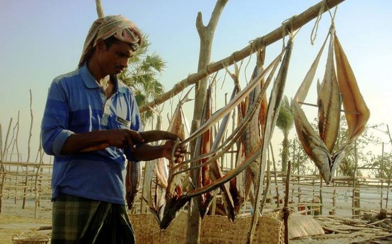 সূর্যের রোদে কেমিক্যালমুক্ত শুঁটকি তৈরিতে ব্যস্ত সময় পার করছেন কুয়াকাটার জেলেরা