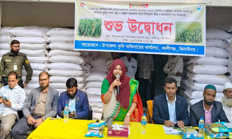 কালীগঞ্জে বিনামূল্যে সার ও বীজ পেলেন দেড় হাজার কৃষক