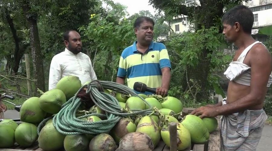 লক্ষ্মীপুরে ৫০ কোটি টাকার ডাব বিক্রির লক্ষ্যমাত্রা নির্ধারণ করেছে কৃষি বিভাগ