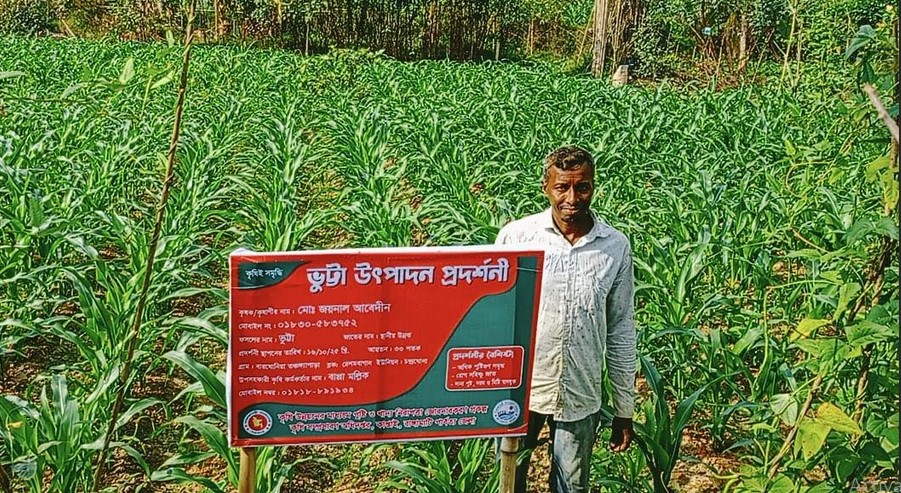 কৃষি জমিতে ভুট্টা চাষে সফল কাপ্তাইয়ের জয়নাল আবেদীন