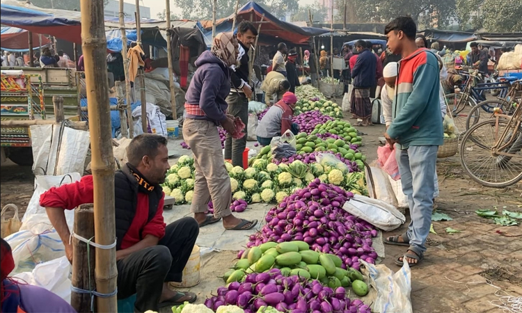 আগাম শীতের সবজিতে জমে উঠেছে মহাস্থান হাট