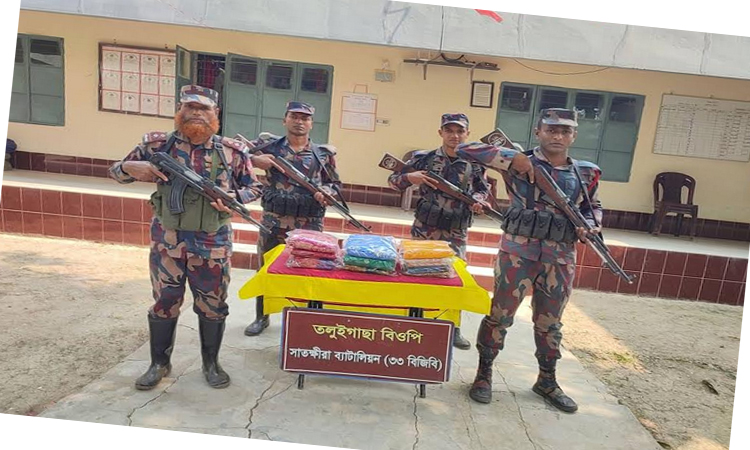 সাতক্ষীরা সীমান্তে ভারতীয় বিভিন্ন মালামাল জব্দ