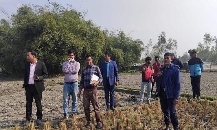 ডোমারে ইটভাটায় কৃষি জমির মাটি ব্যবহার করায় জরিমানা