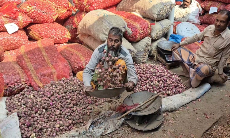 এলসির খবরে স্বস্তি ফিরল বগুড়ার পেঁয়াজের বাজারে