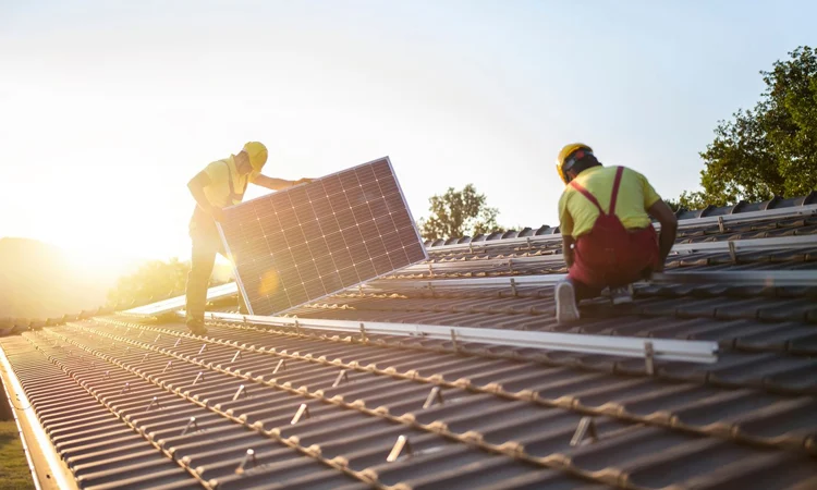 নবায়নযোগ্য জ্বালানি ও মাল্টিপারপাস ব্যবহার টেকসই বিদ্যুৎ-এর ভবিষ্যৎ নিশ্চিত করবে