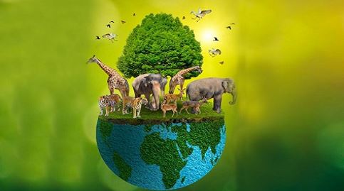 রাজশাহীর ৪ জেলার চারটি এলাকা ‘বিশেষ জীববৈচিত্র্য সংরক্ষণ এলাকা’ ঘোষণা করবে সরকার