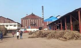 নাটোরে দু’টি চিনিকলে তিনহাজার ৩৬০ টন চিনি উৎপাদন